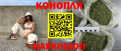 прущие грибы Гусиноозёрск