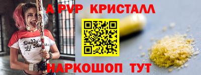 прущие грибы Гусиноозёрск