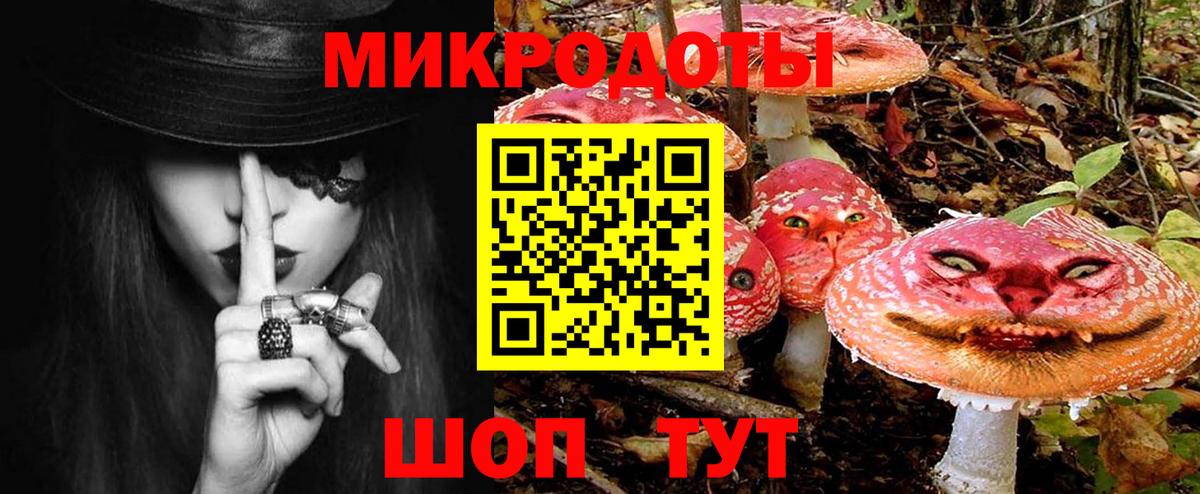Нефтекумск  Псилоцибиновые грибы Cubensis  Вход с VPN 