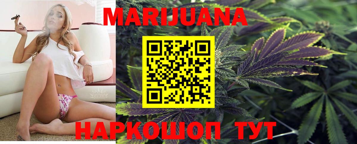 Марихуана конопля Нефтекумск
